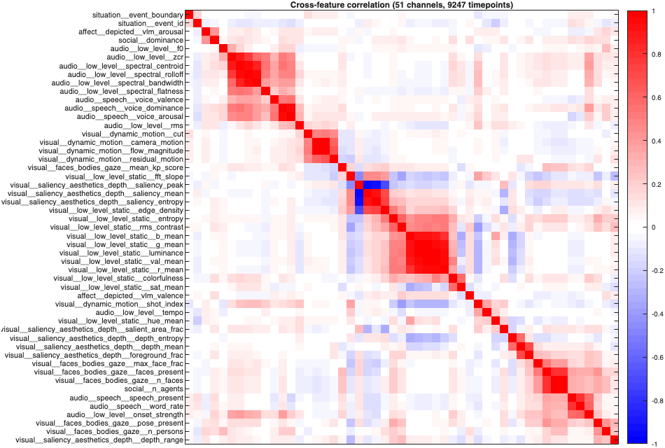 Figure 1. Clustered cross-feature correlation matrix (audiovisual subset).